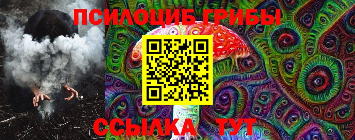 Псилоцибиновые грибы MAGIC MUSHROOMS Славгород
