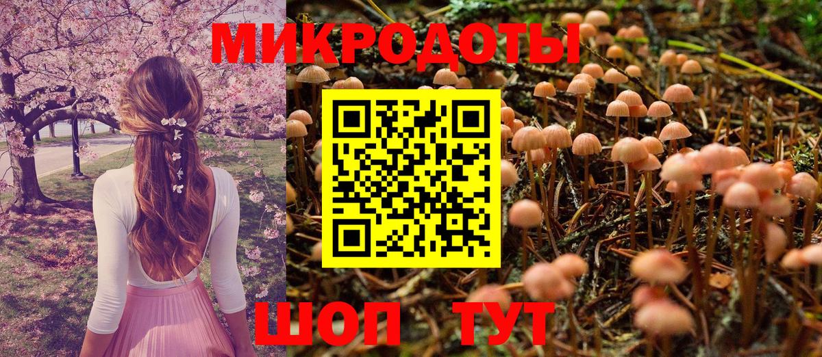 Псилоцибиновые грибы Psilocybine cubensis  продажа наркотиков  Галлюциногенные грибы Psilocybe  Славгород  Вход с VPN 